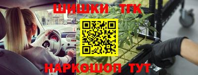 гашик Жуковский