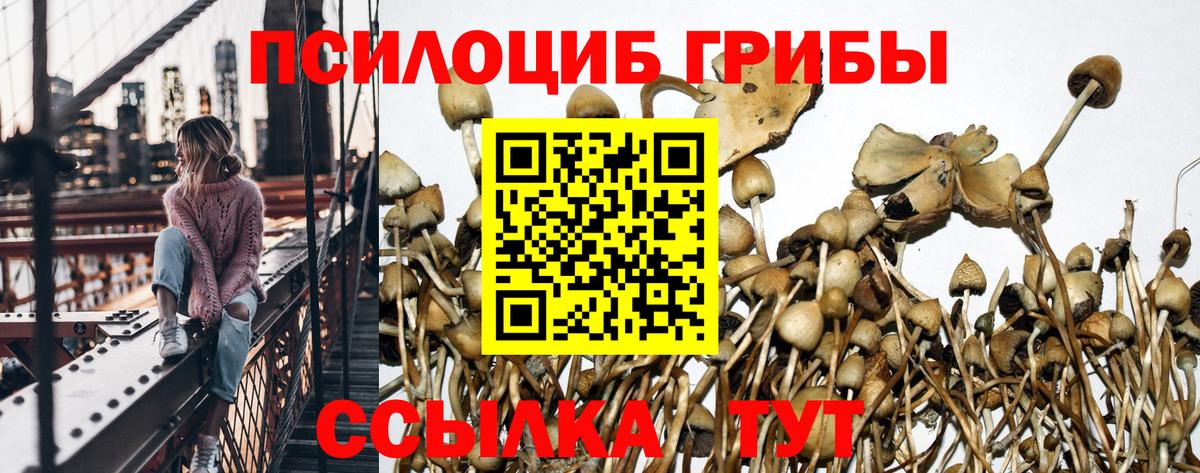 Псилоцибиновые грибы MAGIC MUSHROOMS Мирный